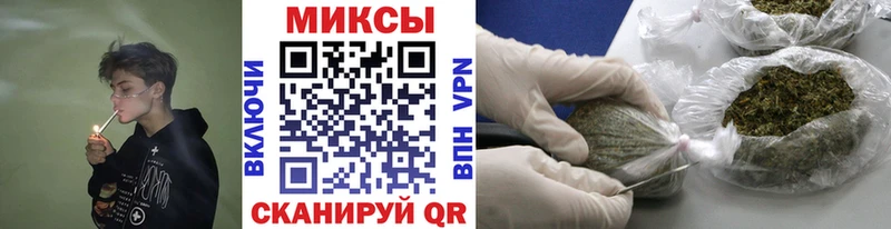 Купить где Мышкин Бутират BDO