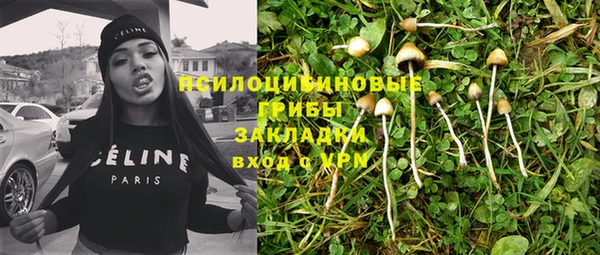 мдпв Бугульма