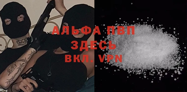 шишки Бородино