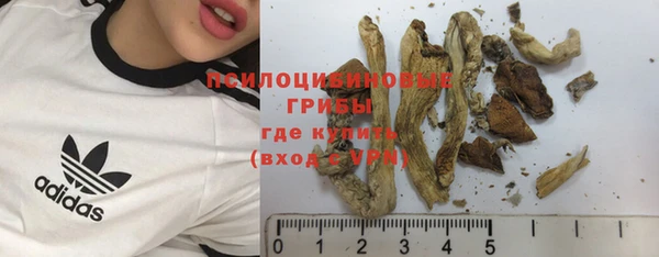 ECSTASY Бронницы