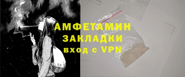 шишки Бородино