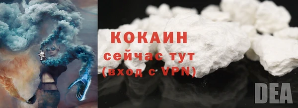 шишки Бородино