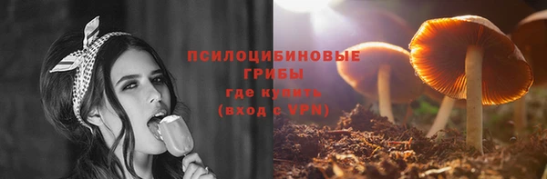 шишки Бородино