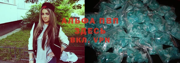 шишки Бородино