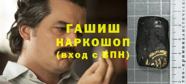 шишки Бородино