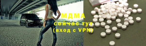 шишки Бородино